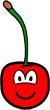 Cherry buddy icon  