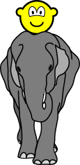 Elephant riding buddy icon  