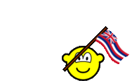 Hawaii flag waving buddy icon U.S. state animated