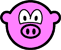 Pig buddy icon  