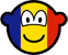 Romania buddy icon flag 