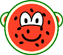 Watermelon buddy icon  