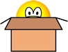 Cardboard boxed emoticon  