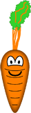 Carrot emoticon  