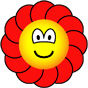 Flower emoticon  