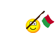 Madagascar flag waving emoticon animated