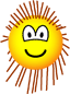 Porcupine emoticon  