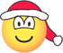 http://www.emofaces.com/en/emoticons/s/santa-hat-emoticon.gif