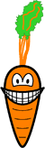 Carrot smile  