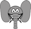 Elephant smile  