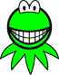 Kermit the Frog smile  