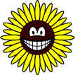Sunflower smile  