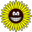 Sunflower smile