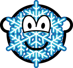 Snowflake buddy icon