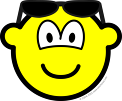 Sun glasses on head buddy icon