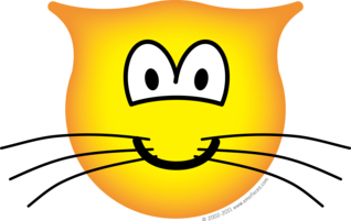 Cat emoticon