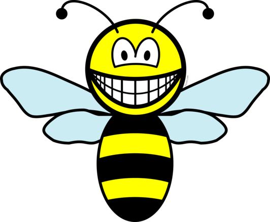 Bumble bee smile