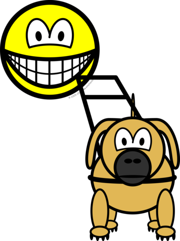 Guide dog smile