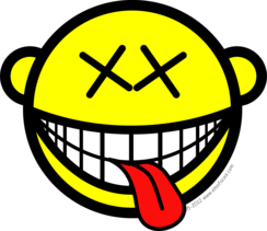 Image result for big happy smile