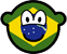 Brazil buddy icon flag 