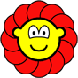 Flower buddy icon  