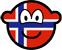 Norway buddy icon flag 