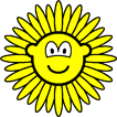 Sunflower buddy icon  