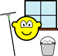 Window cleaner buddy icon  