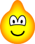 Dromedary emoticon  