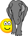 Elephant in the room emoticon  