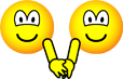 Holding hands emoticons  