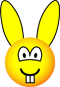 Rabbit emoticon  