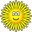 Sunflower emoticon  